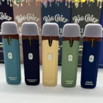 Big Chief 2G Vape