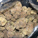OG Kush