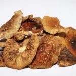 Amanita Muscaria